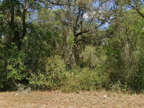 21175 SE 142nd Ln Lot 1, Umatilla, FL 32784