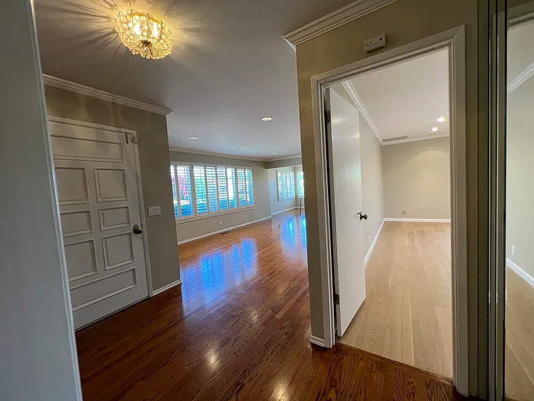 1159 Runnymede Dr — Photo 22