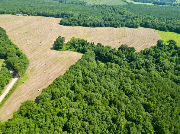 0 County Road 127, Banks, AL 36005