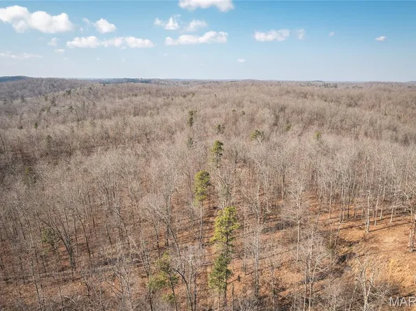 0 County Road 352, Piedmont, MO 63957