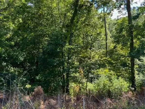 0 Harmon Rd, New Tazewell, TN 37825