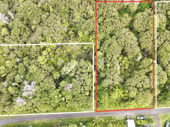 Puna Wai Ave, Mountain View, HI 96771