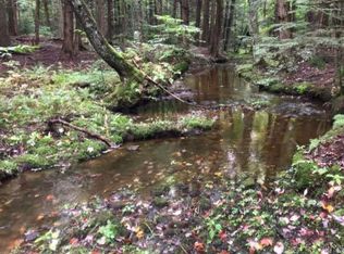 0 Podunk Rd, Lee Center, NY 13363