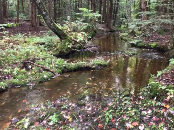 0 Podunk Rd, Lee Center, NY 13363