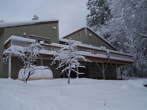 Back View