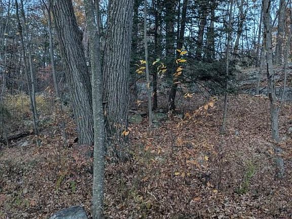 5th image of 250 Hortontown Road