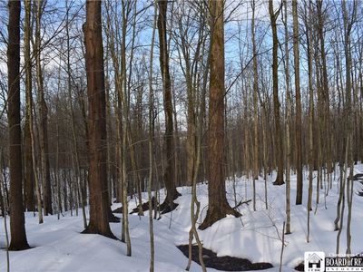 0 Edson & Harris Hill Rd, Gerry, NY, 14740