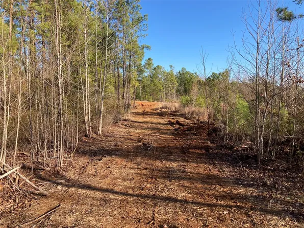 240 Martin Rd, Plain Dealing, LA 71064