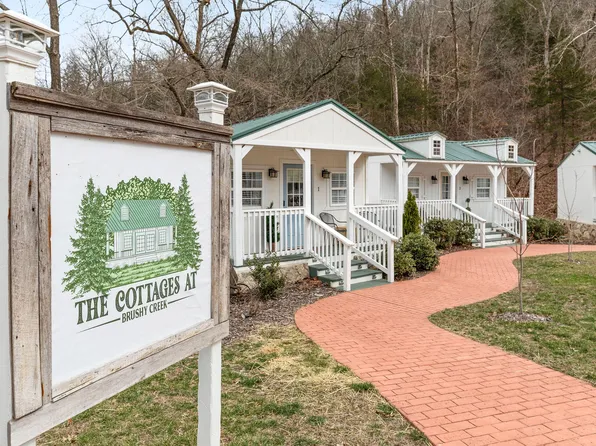 1376 Peace In Valley Road, Blue Eye, MO 65611