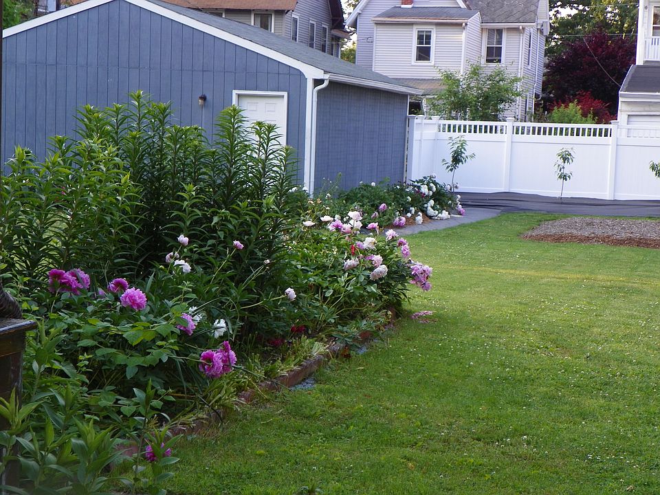 Backyard-east side