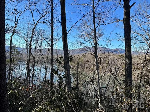 62 Lake Adger Pkwy, Mill Spring, NC 28756