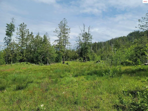 Nna Grouse Mountain Trl, Sagle, ID 83860