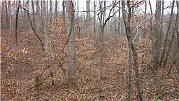 2nd image of 98 Bluebird Cir Lot 98