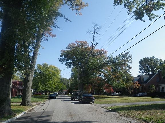 5th image of 145 Habecking Dr