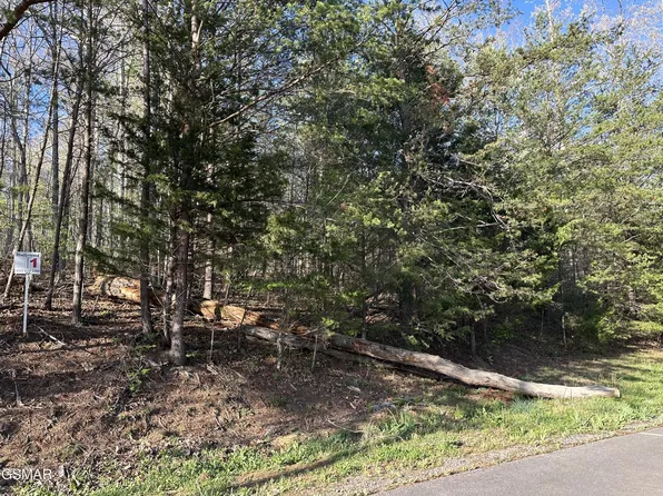 1 Timber Trl Lot 65J, Newport, TN 37821