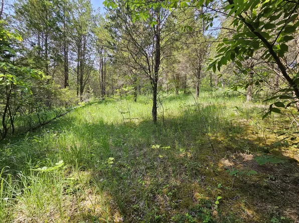 Tbd Buzzard Roost Rd, Bulls Gap, TN 37711