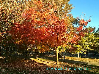 Sold by DavidWest Properties