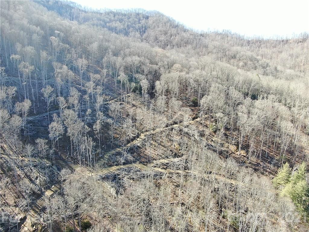 1102 Cattail Creek Rd, Burnsville, NC 28714 Zillow