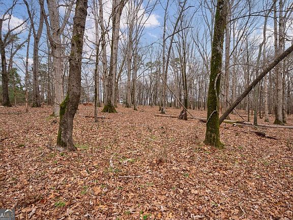 4th image of TRACT 2 High Shoals Rd