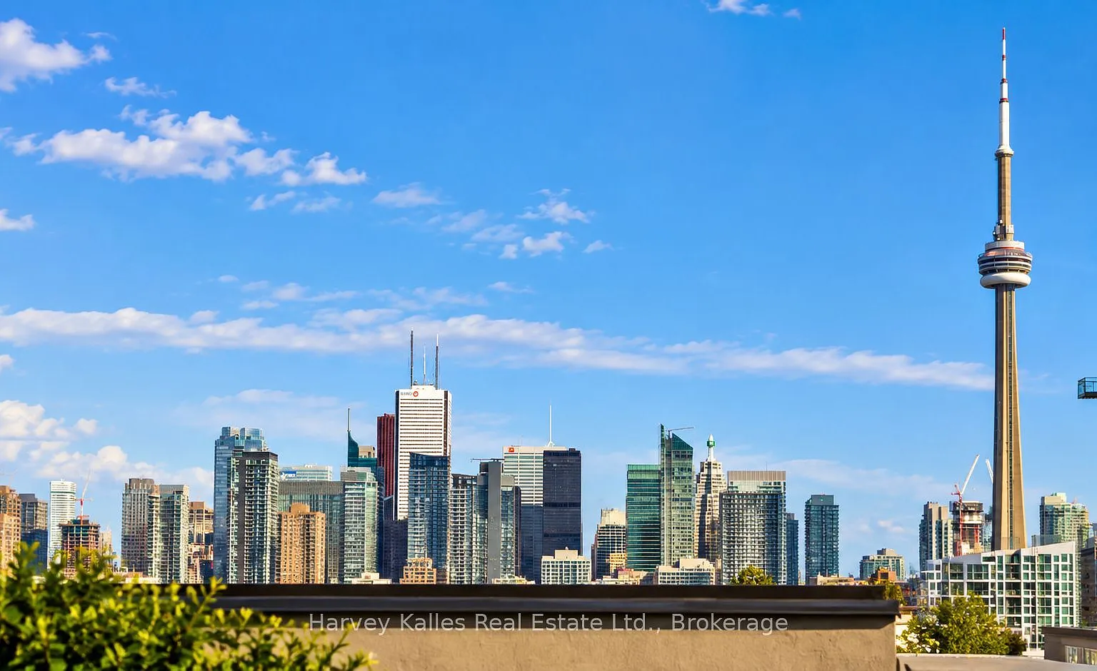 2 bed, $3,400 — Photo 4