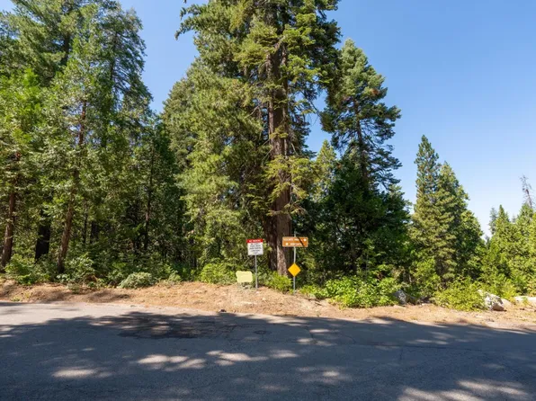 7199 Manzanita Ln, Yosemite National Park, CA 95389