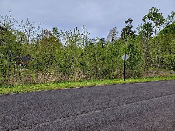 3rd image of 387 Red Stone Dr