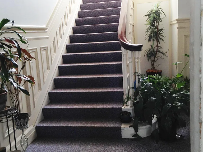 469 Whitney Ave #8 — Photo 8