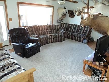 Living Room with New Carpet