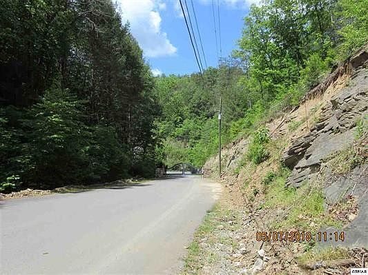 5th image of 57 Mountain Holly Way