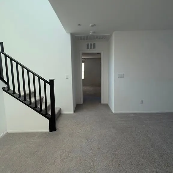 10610 Sariah Skye Ave — Photo 19