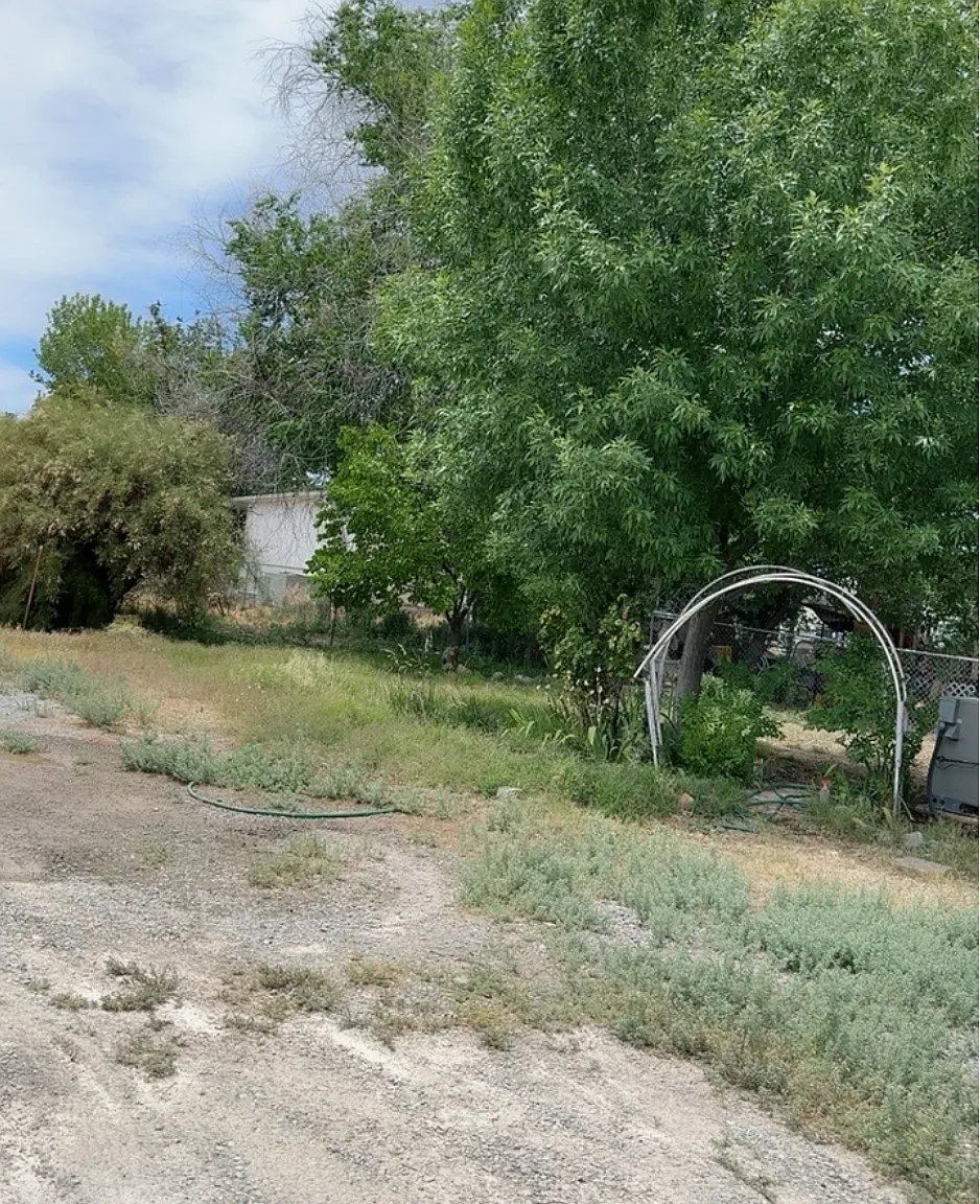 3 bed, 1000 sqft, $1,500 — Photo 2