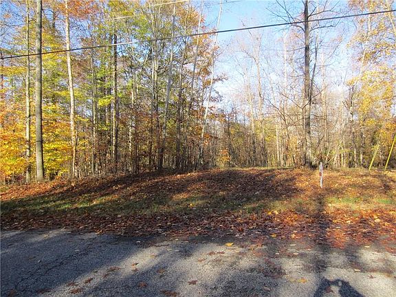 5th image of 4390 Tulip Dr