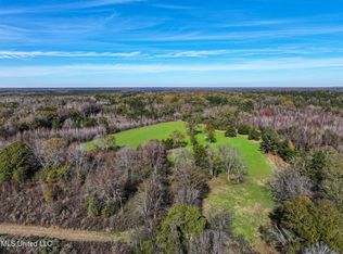 1066 Old Yazoo City Rd, Canton, MS 39046