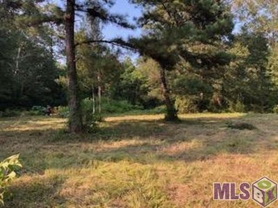 23500 Hills Rd, Holden, LA, 70744