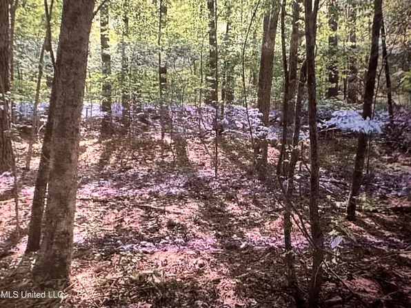 Stigler Rosa Dr, Florence, MS 39073