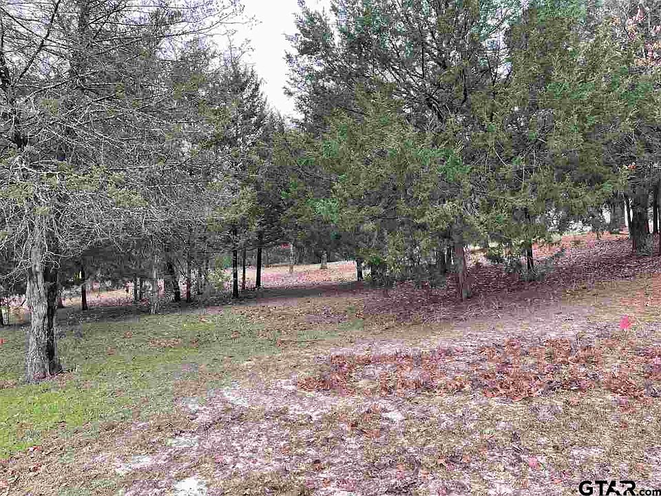 1st image of LOT 1 County Road 2308