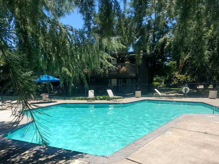 2400 Larkspur Ln #263 — Photo 3