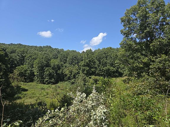 3rd image of 265 Cox Rd