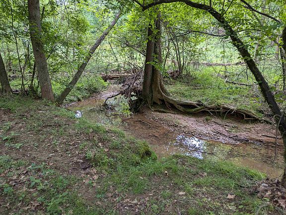 2nd image of 200 First Creek Rd