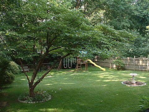 Huge yard!