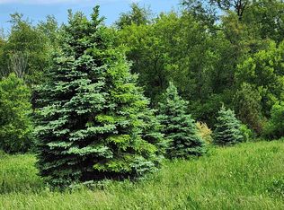 19-19 Timber Ridge Rd, Lanark, IL 61046