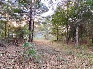 131 Elizabeth Church Rd, Hazlehurst, GA 31539