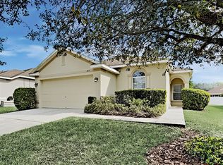 1015 Crystal Carbon Way, Valrico, FL 33594