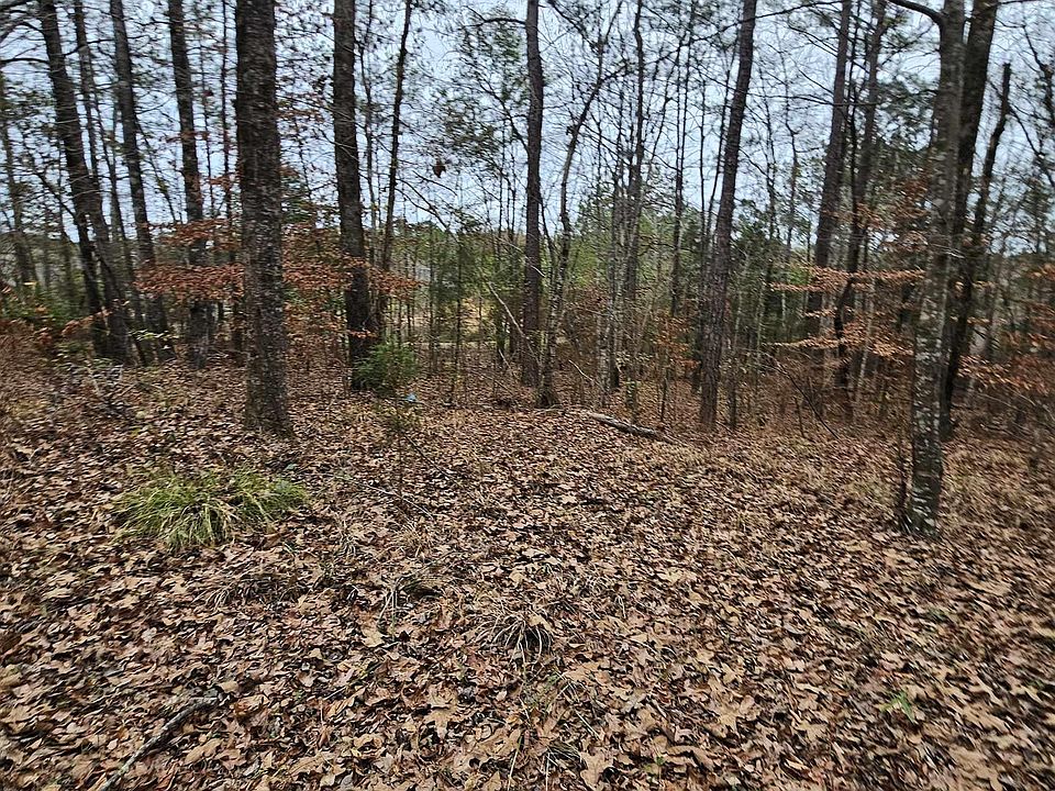 1st image of 173 County Road 582 #1