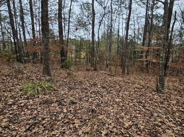 173 County Road 582 #1, Lawley, AL 36793