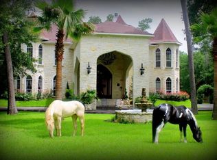 12503 Kluge Rd, Cypress, TX 77429