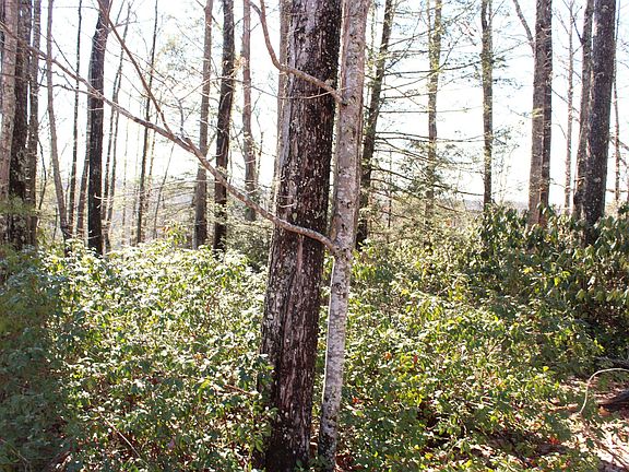 3rd image of 629 River Ridge Ln