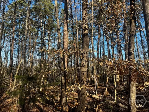 0 Alpine way, Lavonia, GA 30553