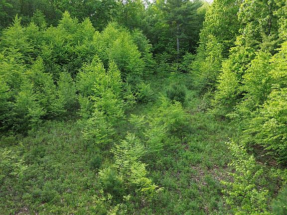 3rd image of TBD Old Concord Turnpike