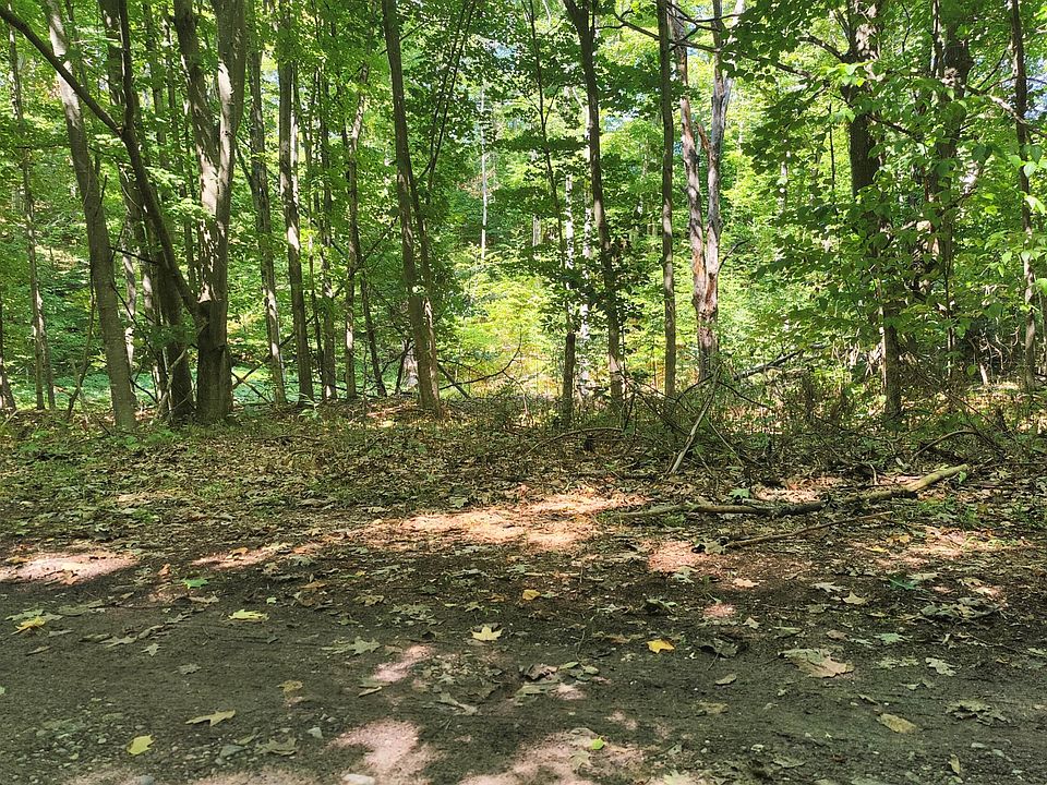 1st image of 594 Wandering Woods Ct